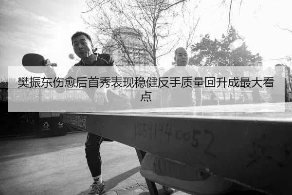 樊振东伤愈后首秀表现稳健反手质量回升成最大看点